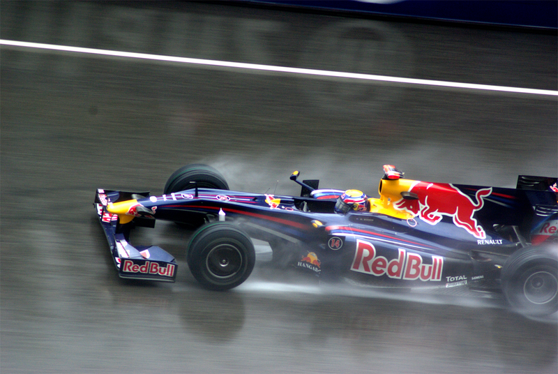 Illustration for article titled 2009 Chinese Grand Prix Gets Wet, Real Wet
